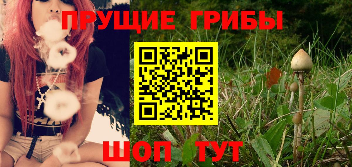 Галлюциногенные грибы мицелий  Вход с VPN  Галлюциногенные грибы Psilocybe  Ялта 